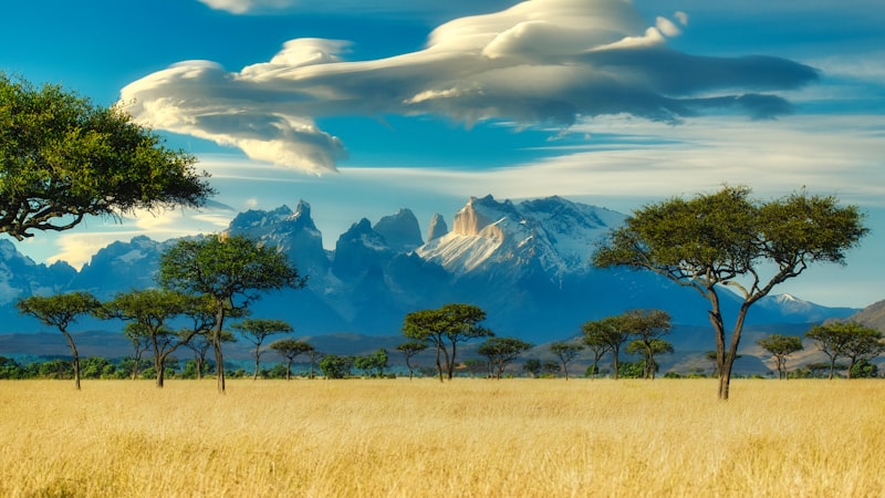 Nairobi's Skyline Evolution: The New Benchmark for East African Capital