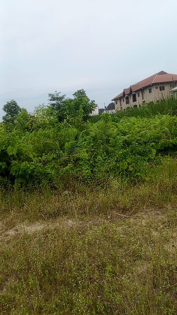 LAND