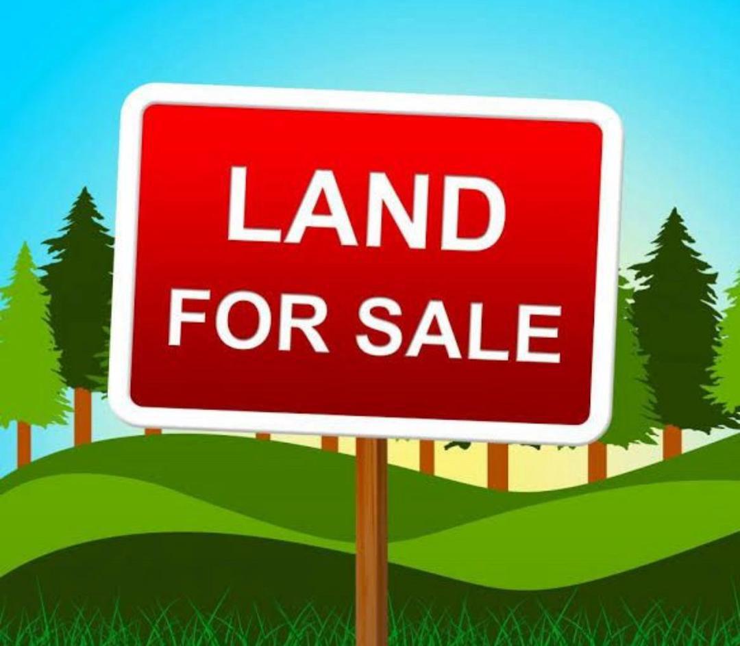 FOR SALE